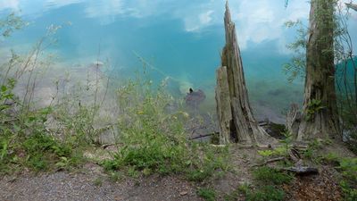 Reunion 2014 Green Lakes S.P.
Green Lakes Land/Lakescape by Abrams
