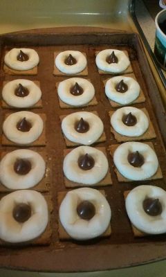 2015 Family Reunion, July 11, 2015
S'Mores by Laurel Higham
