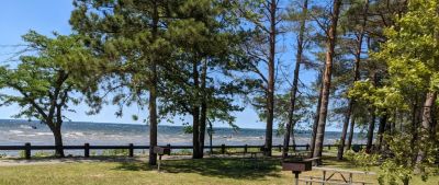 2022 Family Reunion July 9, 2022 VBSP
Oneida Lake at Verona Beach
Looking toward the swimming area from South Pavilion
